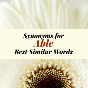 Able Synonyms