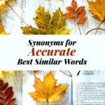 Accurate Synonyms