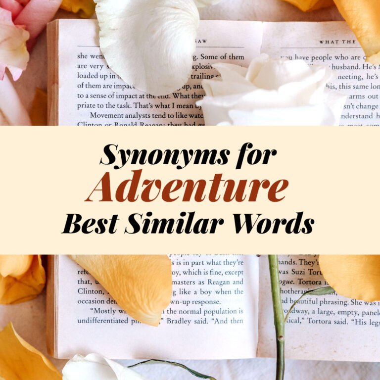 Adventure Synonyms