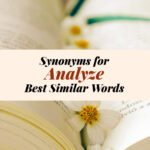 Analyze Synonyms