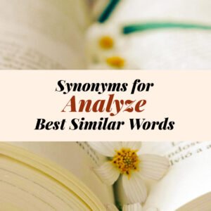 Analyze Synonyms