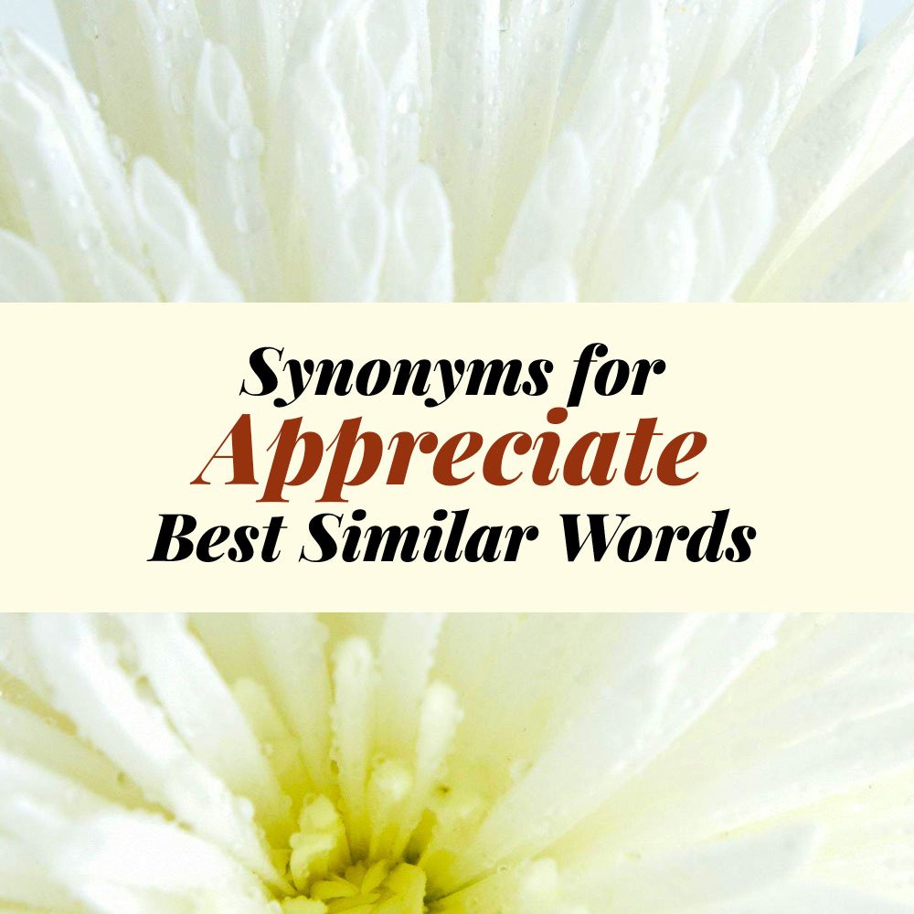 Appreciate Synonyms