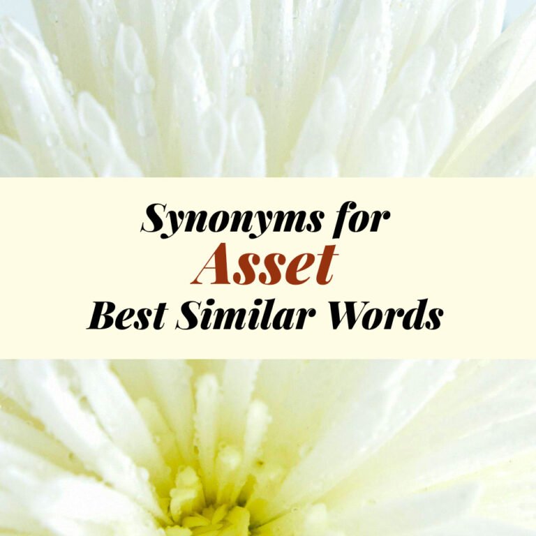 Asset Synonyms