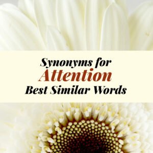 Attention Synonyms
