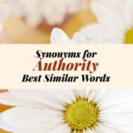 Authority Synonyms