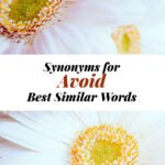Avoid Synonyms