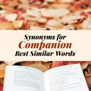 Companion Synonyms