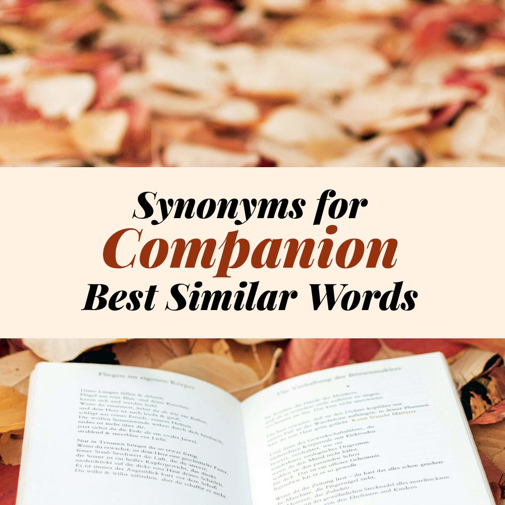 Companion Synonyms