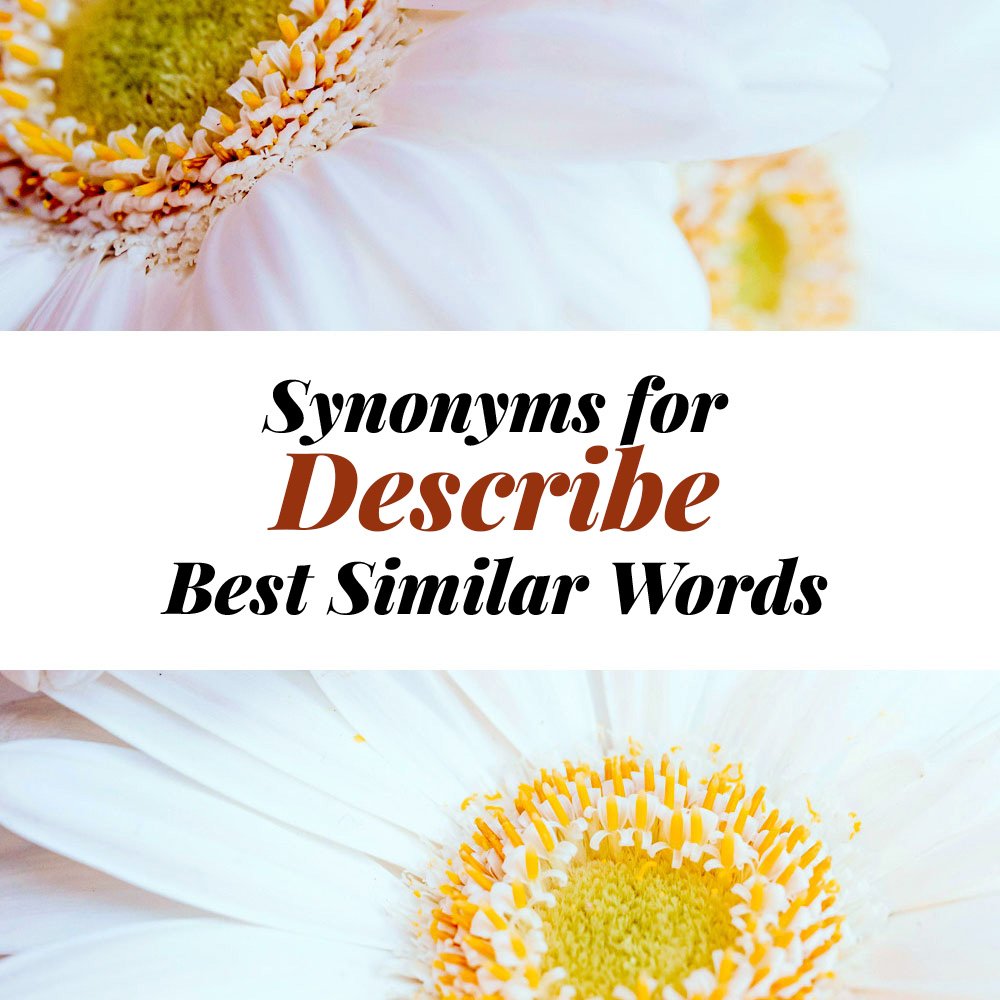 Describe Synonyms