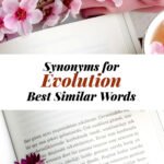 Evolution Synonyms