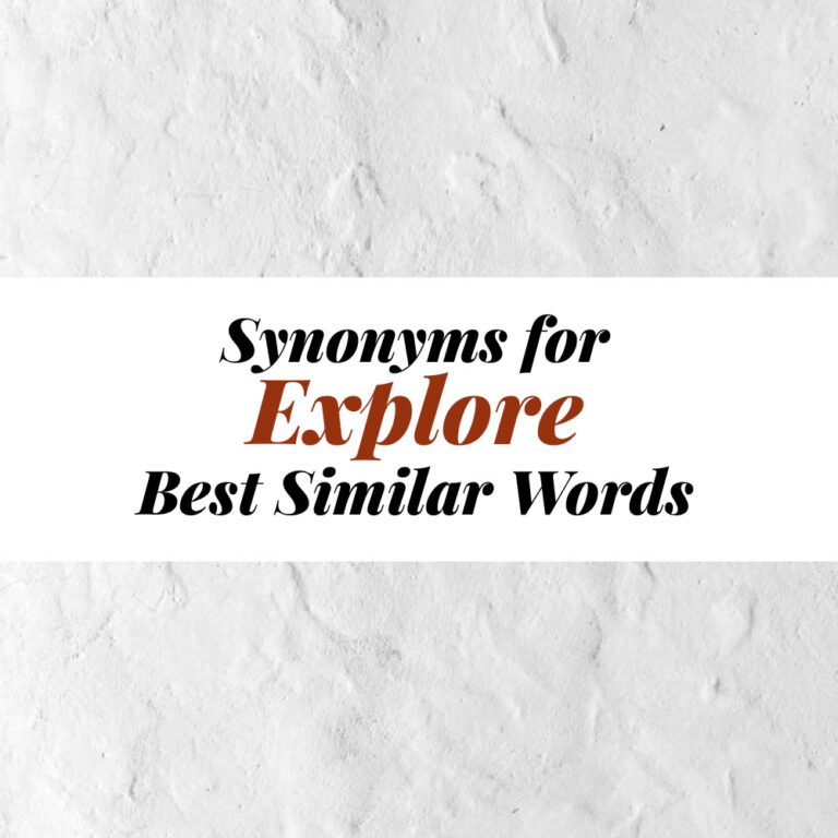 Explore Synonyms