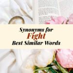Fight Synonyms