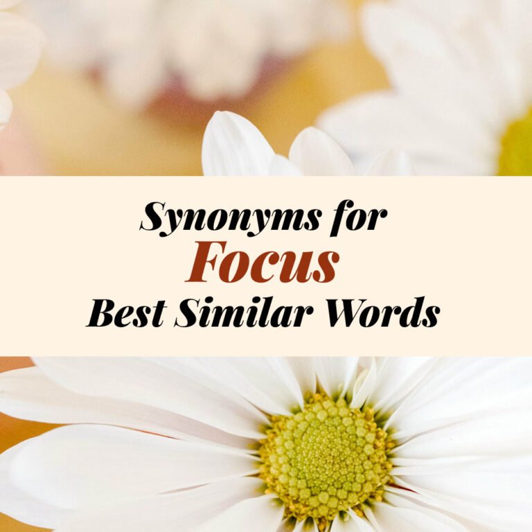Focus Synonyms