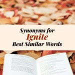 Ignite Synonyms