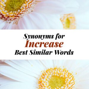 Increase Synonyms