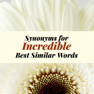 Incredible Synonyms
