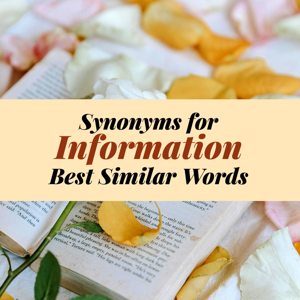 Information Synonyms