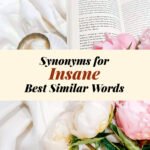Insane Synonyms