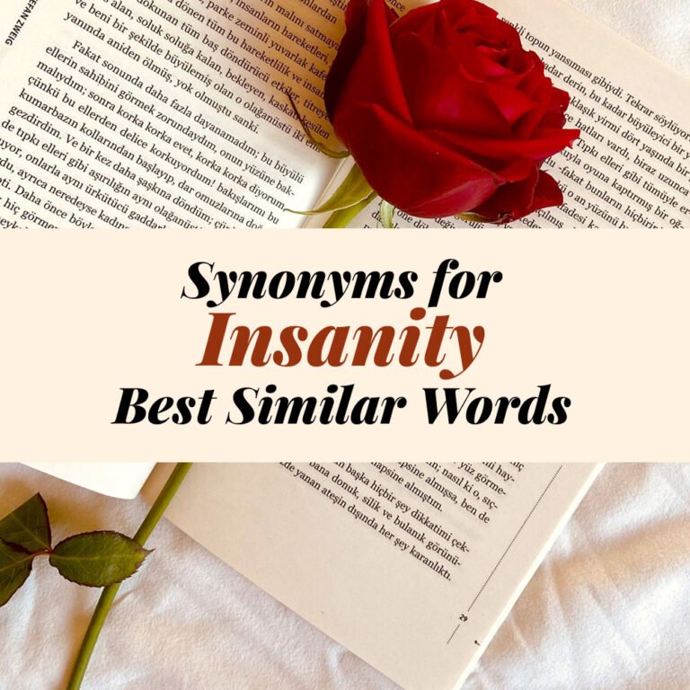 Insanity Synonyms