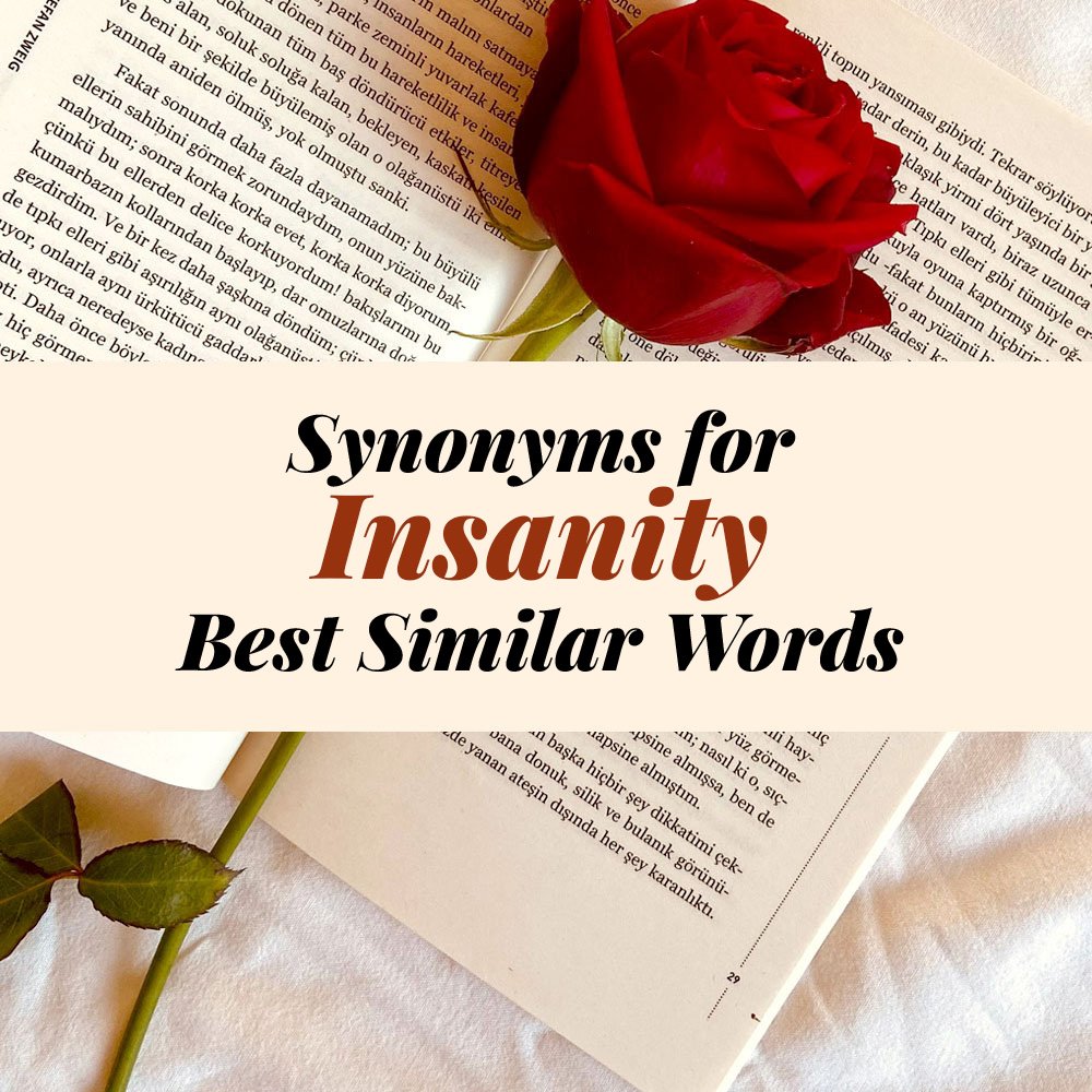 Insanity Synonyms