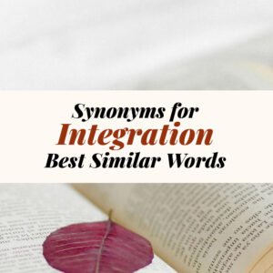 Integration Synonyms