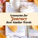 Journey Synonyms