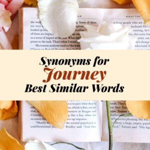 Journey Synonyms