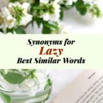 Lazy Synonyms