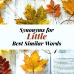 Little Synonyms