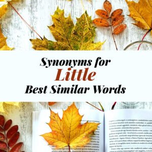 Little Synonyms