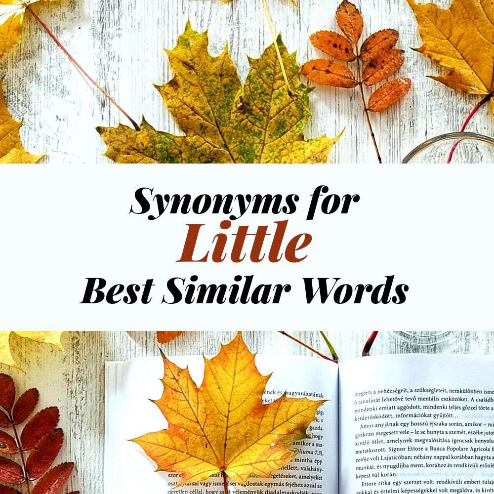 Little Synonyms