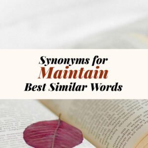 Maintain Synonyms