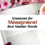 Management Synonyms