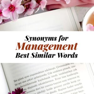 Management Synonyms
