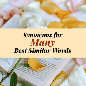 Many Synonyms