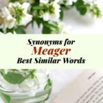 Meager Synonyms