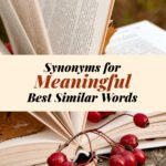 Meaningful Synonyms