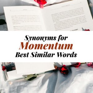 Momentum Synonyms