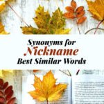 Nickname Synonyms