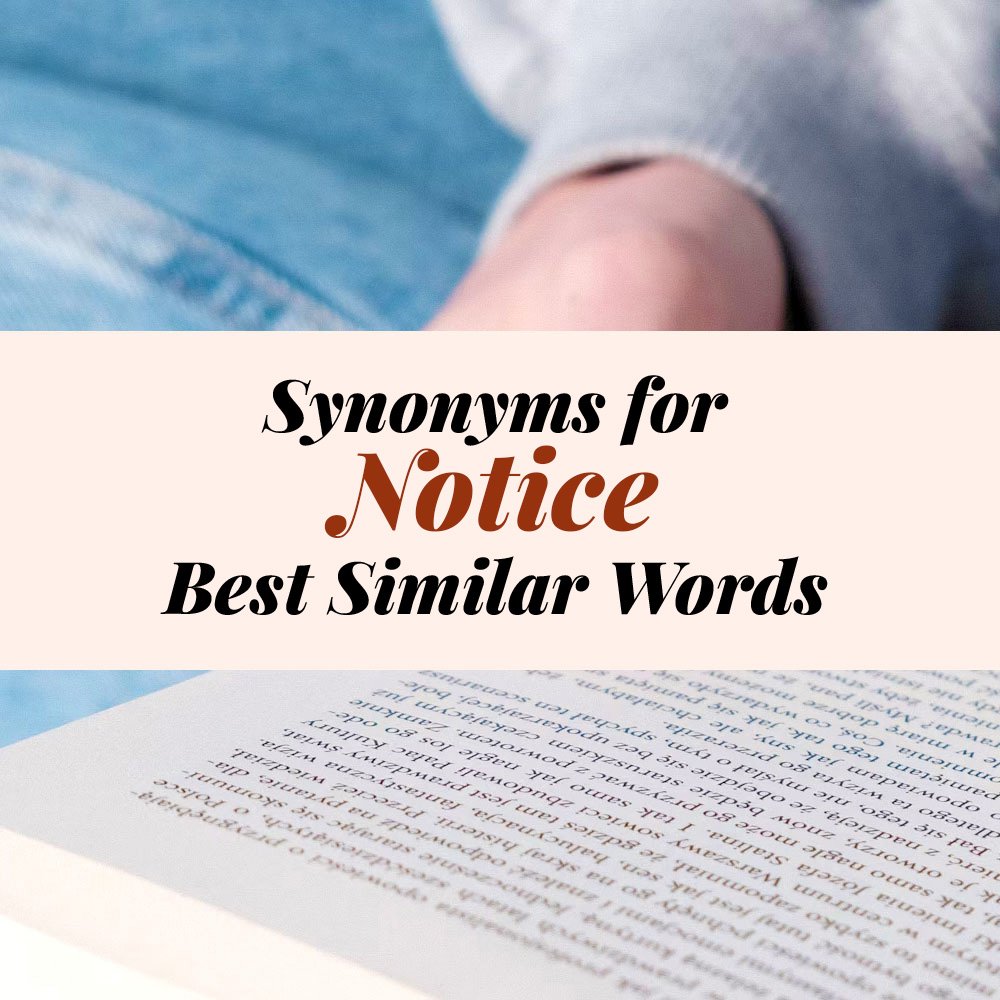 Notice Synonyms