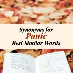 Panic Synonyms