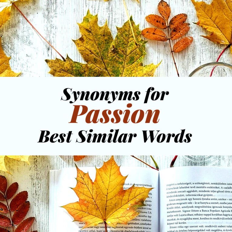 Passion Synonyms