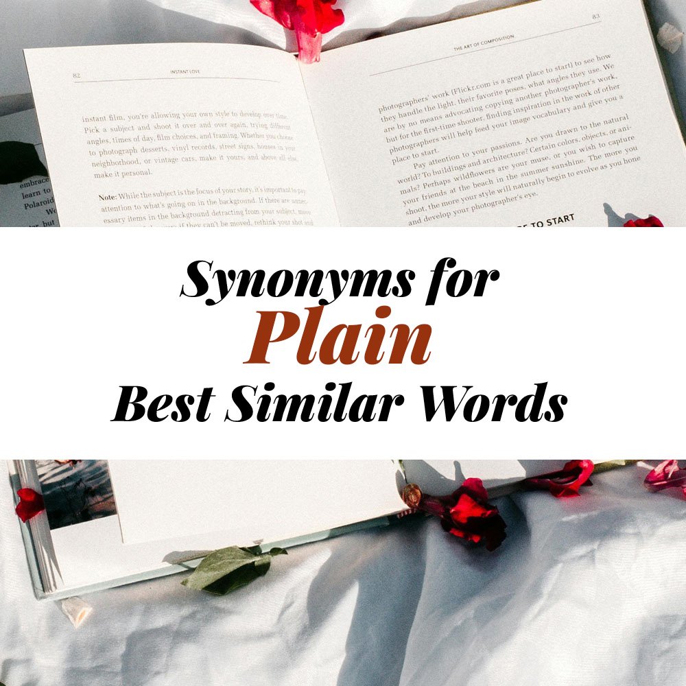 Plain Synonyms