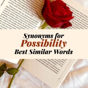 Possibility Synonyms