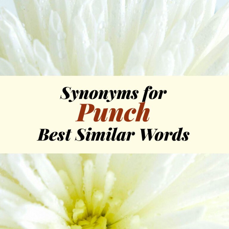 Punch Synonyms