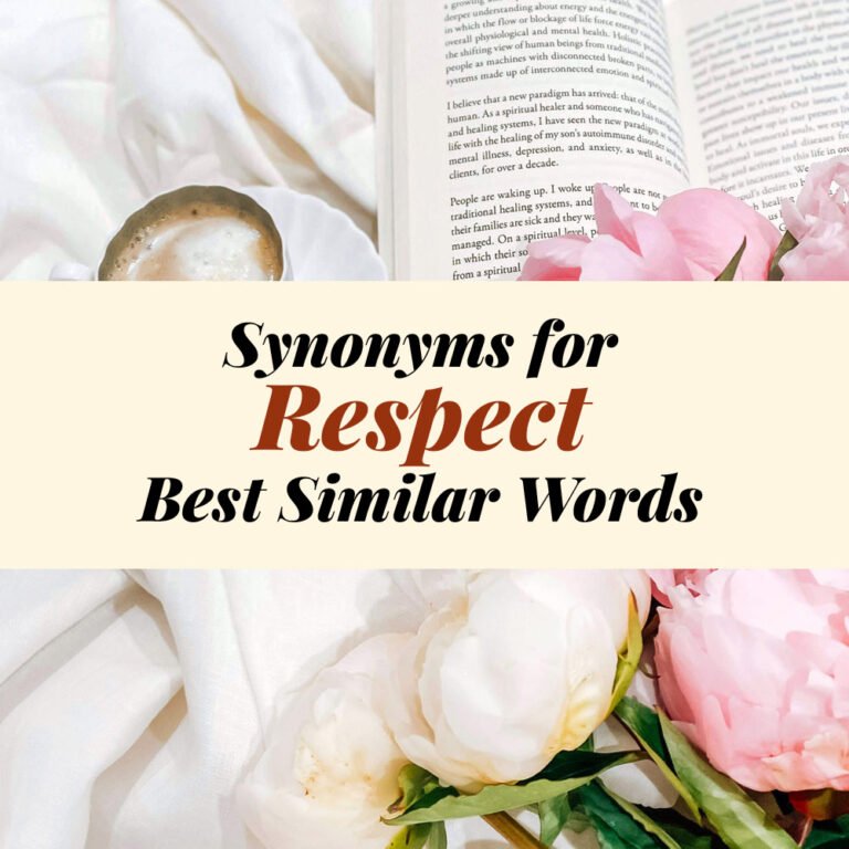 Respect Synonyms