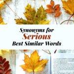 Serious Synonyms