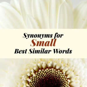 Small Synonyms
