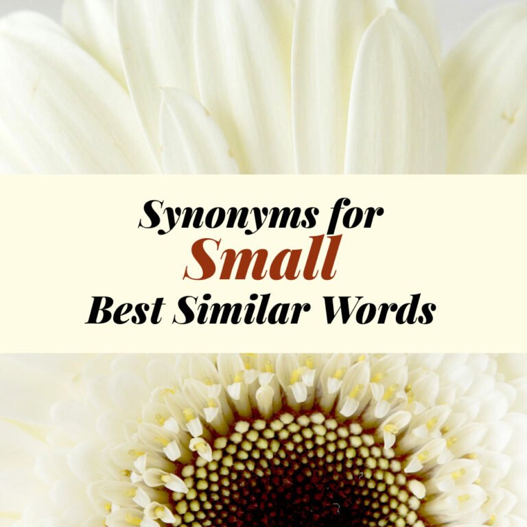 Small Synonyms