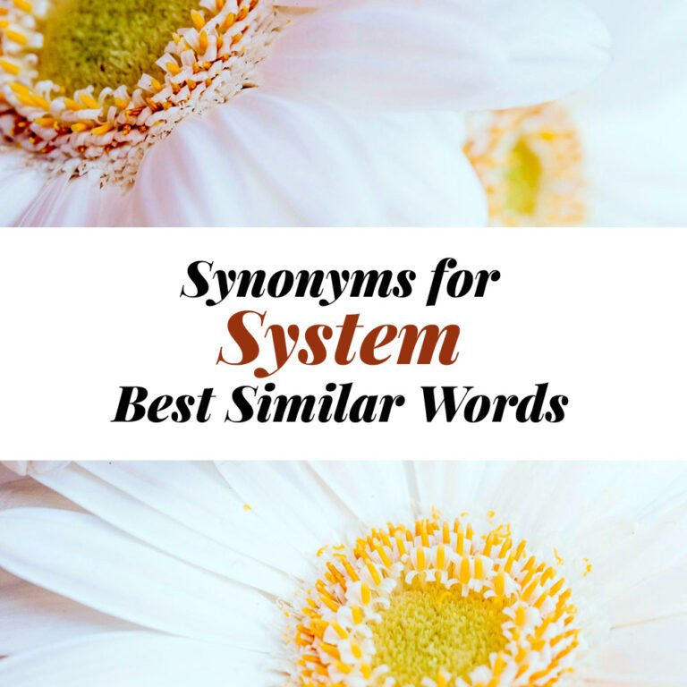 System Synonyms